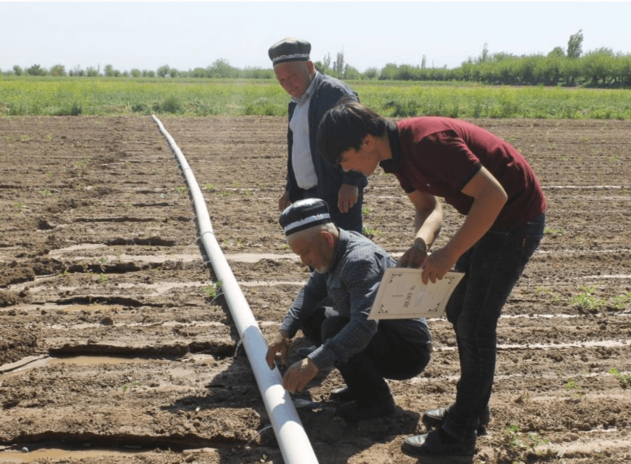 Tube irrigation